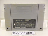 SK4003 Fatal Fury Special SNES Super Famicom Japan