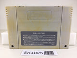 SK4025 Dragon Quest V 5 SNES Super Famicom Japan