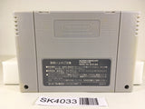 SK4033 The Legend Of Zelda A Link to the Past SNES Super Famicom Japan