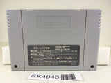 SK4043 Chou Makaimura Super Ghouls 'n Ghosts SNES Super Famicom Japan