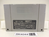 SK4044 Chou Makaimura Super Ghouls 'n Ghosts SNES Super Famicom Japan