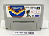 SK4049 Down The World SNES Super Famicom Japan