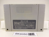 SK4050 Soul Blader SNES Super Famicom Japan
