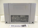 SK4052 Wizardry V 5 SNES Super Famicom Japan