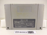 SK4053 Dragon Slayer Eiyuu Densetsu SNES Super Famicom Japan