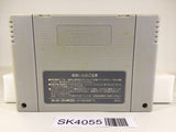 SK4055 Gdleen SNES Super Famicom Japan