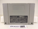 SK4057 Bahamut Lagoon SNES Super Famicom Japan