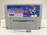 SK4080 Super Puyo Puyo SNES Super Famicom Japan