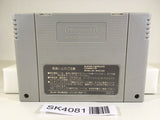SK4081 Super Puyo Puyo SNES Super Famicom Japan
