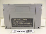 SK4082 Super Nazo Puyo Rulue no Roux Puyo Puyo SNES Super Famicom Japan