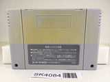 SK4084 Dino Wars SNES Super Famicom Japan
