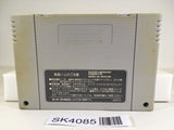 SK4085 Dino Wars SNES Super Famicom Japan