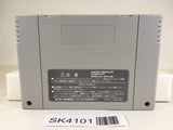 SK4101 The Game of Life Super Jinsei Game 3 SNES Super Famicom Japan