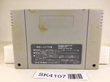 SK4107 Pilotwings SNES Super Famicom Japan