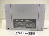 SK4108 Pilotwings SNES Super Famicom Japan