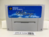 SK4109 Pilotwings SNES Super Famicom Japan