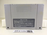 SK4109 Pilotwings SNES Super Famicom Japan