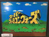 SK4124 SF Memory SNES Super Famicom Japan