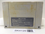 SK4126 Super Mario World Nintendo Super Famicom SNES Japan
