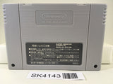 SK4143 Super Donkey Kong Country Nintendo Super Famicom SNES Japan
