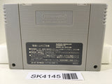 SK4145 Super Donkey Kong Country Nintendo Super Famicom SNES Japan
