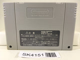 SK4151 Super Donkey Kong Country 3 Nintendo Super Famicom SNES Japan