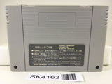 SK4163 Final Fight 2 Nintendo Super Famicom SNES Japan