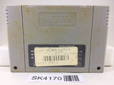 SK4170 Dragon Ball Z Super Butouden 3 Nintendo Super Famicom SNES Japan