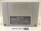 SK4197 The Legend Of Zelda A Link to the Past Nintendo Super Famicom SNES Japan