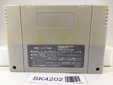 SK4202 Romancing SaGa Nintendo Super Famicom SNES Japan