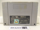 SK4203 Romancing SaGa 2 Nintendo Super Famicom SNES Japan