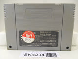 SK4204 Romancing SaGa 2 Nintendo Super Famicom SNES Japan