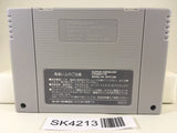 SK4213 ActRaiser Nintendo Super Famicom SNES Japan