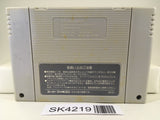 SK4219 Glory of Heracles III 3 Nintendo Super Famicom SNES Japan