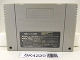 SK4220 Albert Odyssey Nintendo Super Famicom SNES Japan