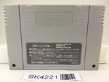 SK4221 Elfaria A Fantastic Theater Nintendo Super Famicom SNES Japan