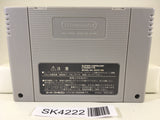 SK4222 Princess Maker Legend of Another World Nintendo Super Famicom SNES Japan