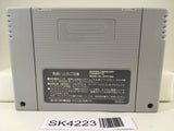 SK4223 Shin Megami Tensei Nintendo Super Famicom SNES Japan