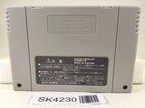SK4230 Bakukyuu Renpatsu!! Super B-Daman Nintendo Super Famicom SNES Japan