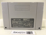 SK4231 Nintendo Scope 6 Nintendo Super Famicom SNES Japan