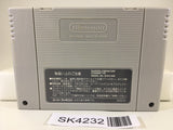 SK4232 Darius Twin Nintendo Super Famicom SNES Japan