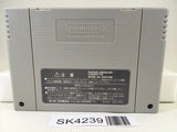 SK4239 Rockman & Forte Megaman & Bass Nintendo Super Famicom SNES Japan