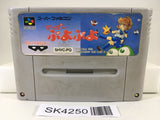 SK4250 Super Puyo Puyo Nintendo Super Famicom SNES Japan
