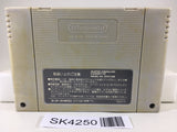 SK4250 Super Puyo Puyo Nintendo Super Famicom SNES Japan