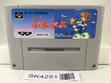 SK4251 Super Puyo Puyo Nintendo Super Famicom SNES Japan