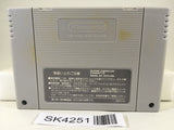 SK4251 Super Puyo Puyo Nintendo Super Famicom SNES Japan