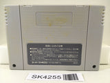 SK4255 Takahashi Meijin no Daibouken Jima Nintendo Super Famicom SNES Japan