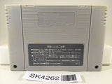 SK4262 Magical Taruruuto kun Magic Adventure Nintendo Super Famicom SNES Japan