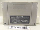 SK4263 Lemmings Nintendo Super Famicom SNES Japan