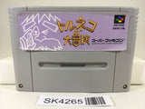 SK4265 Torneco no Daibouken Fushigi no Dungeon Nintendo Super Famicom SNES Japan